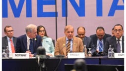 Pakistan, Norway need to work together on climate change: PM