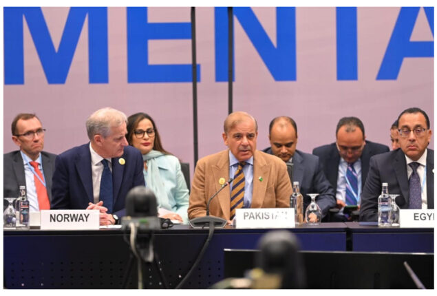 Pakistan, Norway need to work together on climate change: PM