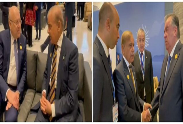 PM Shehbaz calls for collective efforts to deal with issue of climate change