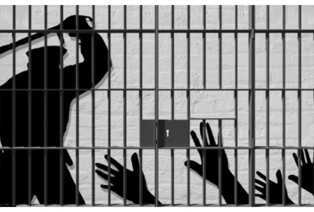 President assents bill criminalizing custodial torture