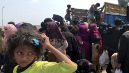 Rohingya