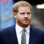 Prince Harry talks about controversial The Sun article