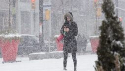 US storm kills dozens: big freeze grips North America