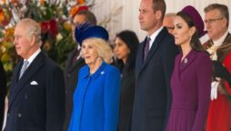 Royal family plans to deal with Meghan Markle and Harry