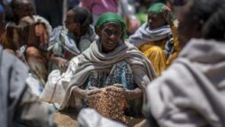 UN awaits full access to ‘desperate’ Tigray