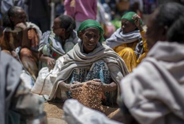 tigray