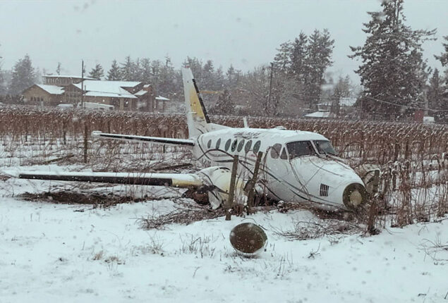 Kayakers hailed for helping to rescue pilot after plane crash