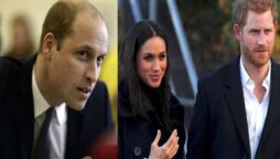 Prince Harry reveals William’s reaction upon hearing Meghan’s name