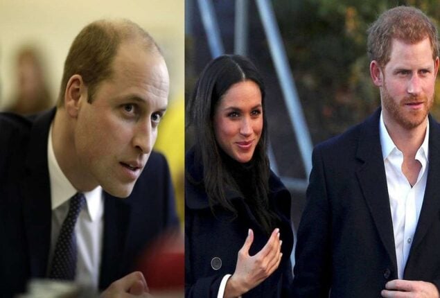 Prince Harry reveals William’s reaction upon hearing Meghan’s name