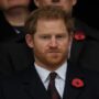 Prince Harry fumes with anger over fans specific request