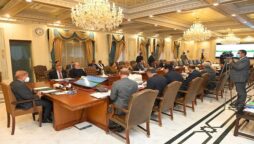 PM seeks plan to solarise govt buildings in Islamabad