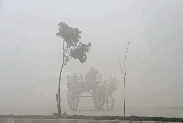 Weather update: Dense fog intensified cold in most parts of country