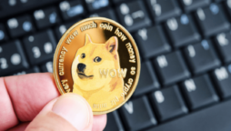 Doge Price