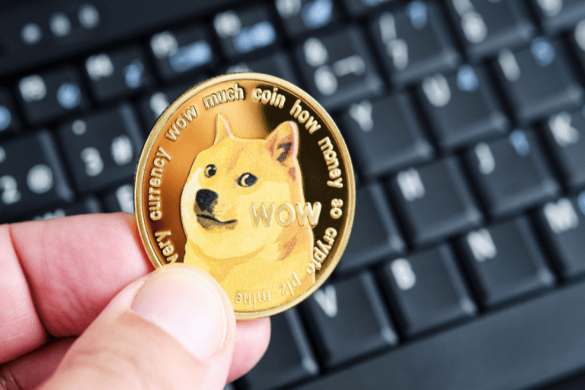 Doge Price