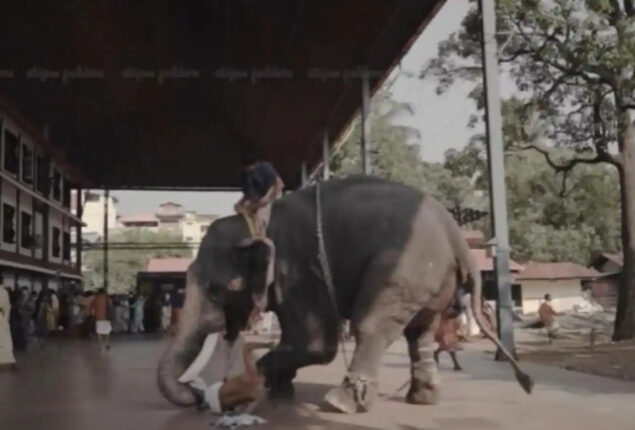 Kerala elephant