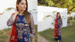 Minal Khan flaunts her elegant looks in beautiful attire