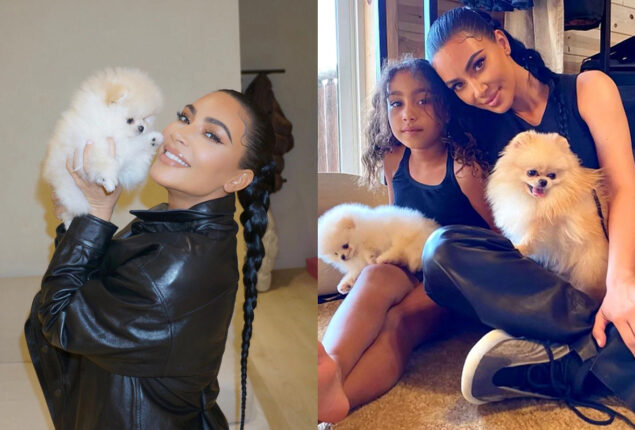 PETA is hopeful as Kim Kardashian avoids keeping dogs in garage