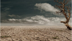 Humanitarian crises will be increased due to climate change