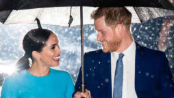Expert evaluation of Prince Harry, Meghan Markle ‘love story’