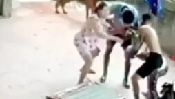 Giant snake attack a man and bite him on the face :viral video