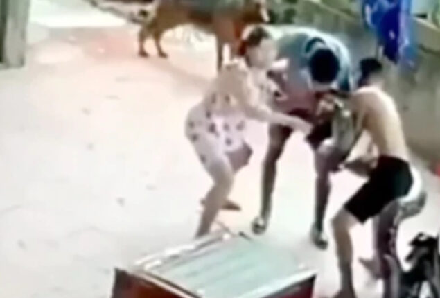 Giant snake attack a man and bite him on the face :viral video