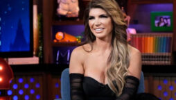 Teresa Giudice RHONJ