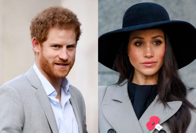 Meghan Markle, Prince Harry given platform due to Duke’s DNA