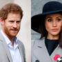 Meghan Markle, Prince Harry given platform due to Duke’s DNA