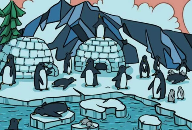 Optical Illusion: Spot a seal among Antarctic penguins in 10 second