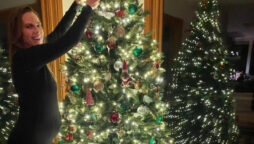 Hilary Swank, expecting with twins, trims her tree in a new Instagram photo
