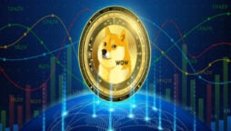 Doge Price