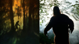 8ft Chewbacca sighted near I’m A Celeb camp