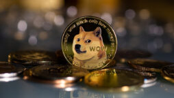Doge Price
