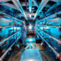 US lab achieves fusion milestone, fostering optimism for clean energy