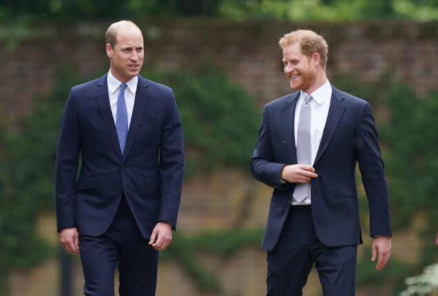 Prince William upset with Prince Harry