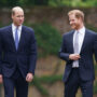 Prince William upset with Prince Harry