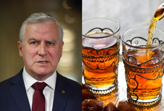 Australian former deputy PM falls unwell after drinking kava