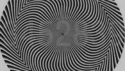 Hidden number in hypnotic circle revealed in optical illusion