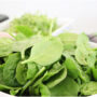 Toxic spinach causes critical health problems in Australia