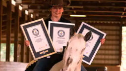 Blind horse Endo breaks three world records