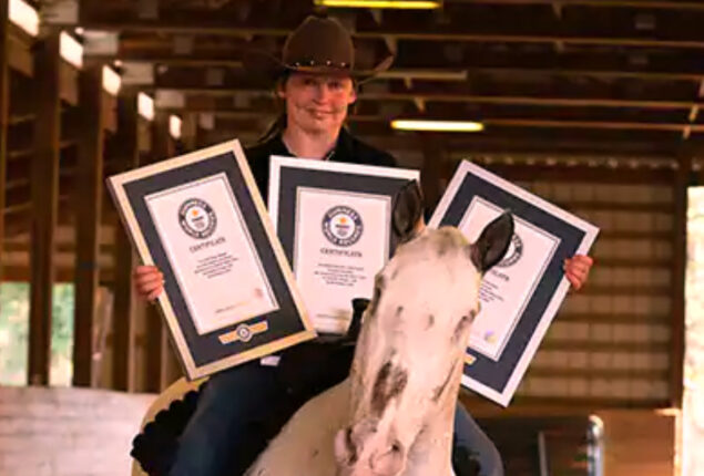 Blind horse Endo breaks three world records