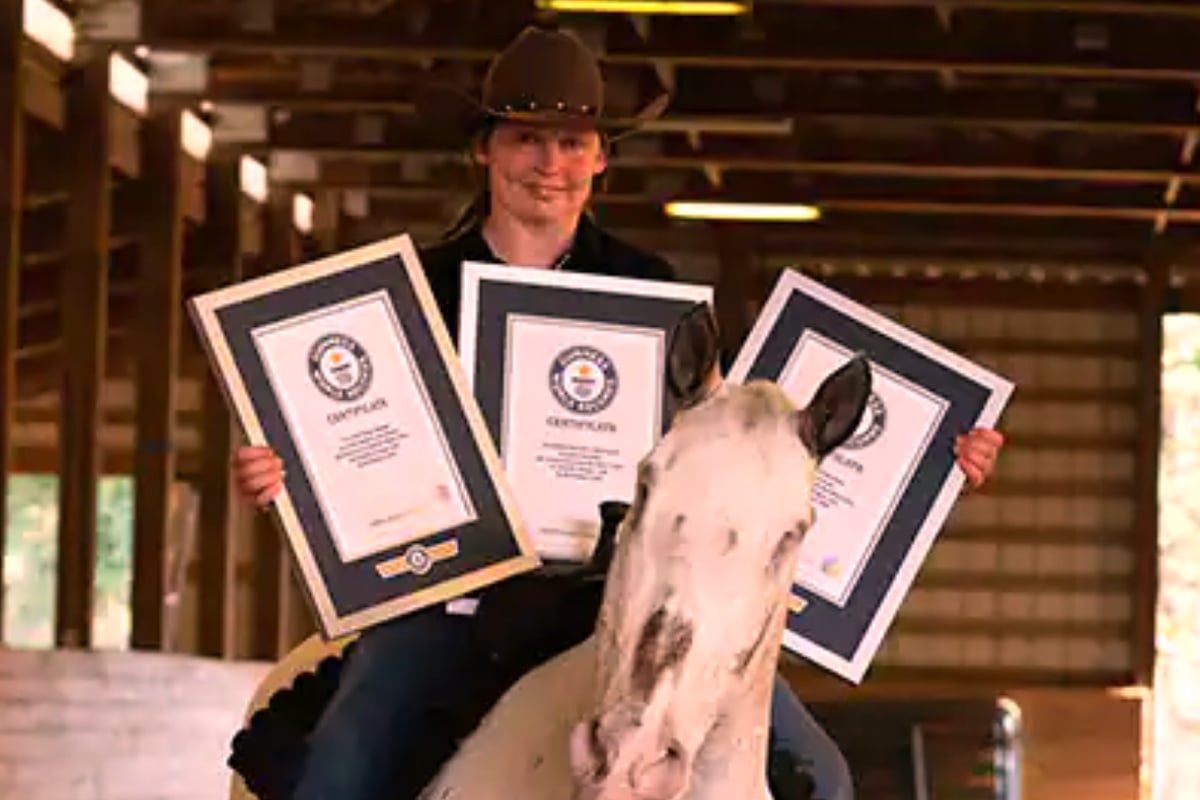 Blind horse Endo breaks three world records