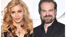 David Harbour claims  Madonna asked him to audition for her movie because she finds him sexy