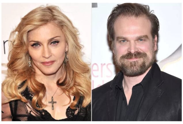 David Harbour claims  Madonna asked him to audition for her movie because she finds him sexy