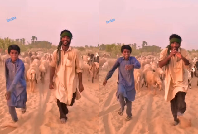 Watch: Shepherd’s dance video to Govinda’s “Dulhe Raja” has gone viral