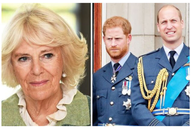 Prince William and Prince Harry plotting revenge on Camilla?