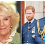 Prince William and Prince Harry plotting revenge on Camilla?