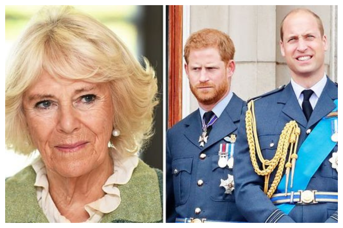 Prince William and Prince Harry plotting revenge on Camilla?