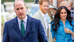 William’s ‘nightmare’ with Harry and Meghan could damage his work