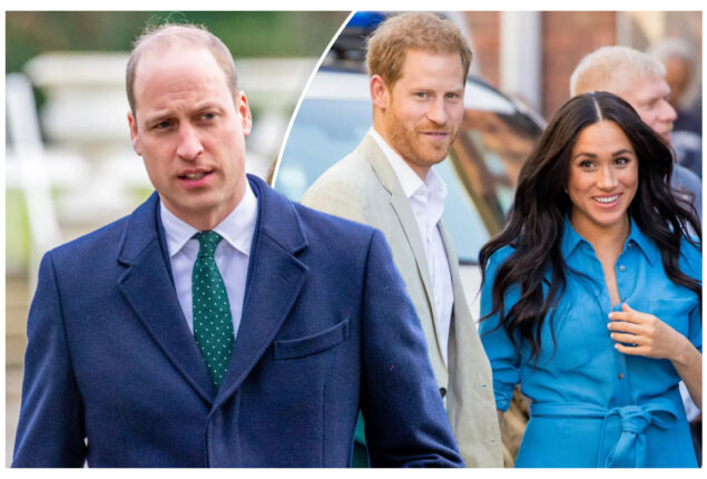 William’s ‘nightmare’ with Harry and Meghan could damage his work
